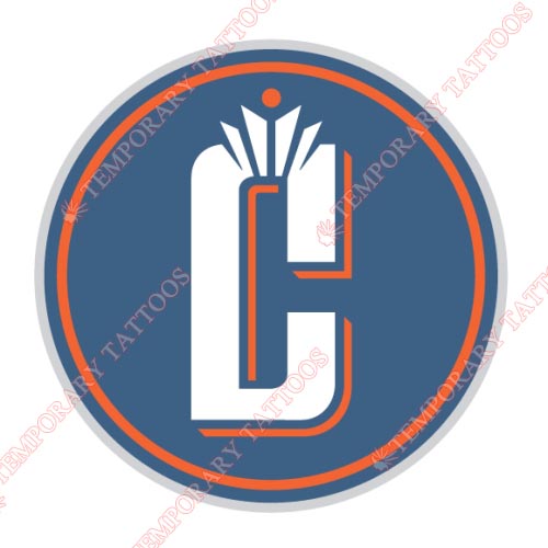 Charlotte Bobcats Customize Temporary Tattoos Stickers NO.931